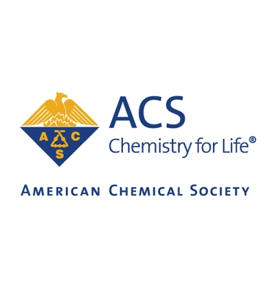 A stone path in a forest