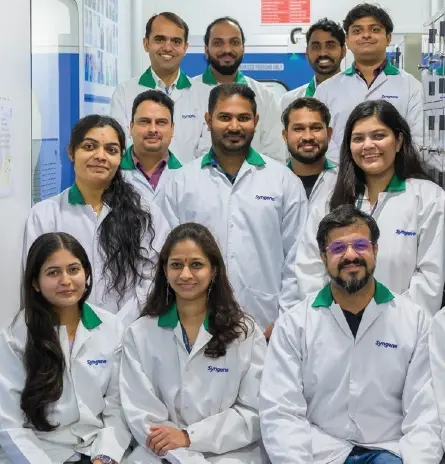 A stone path in a forest