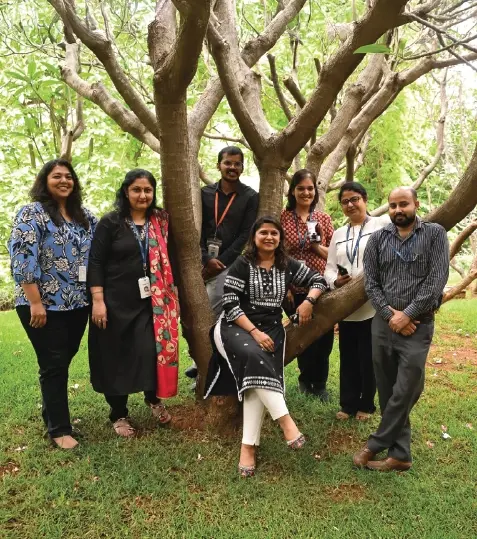 An aerial view of a green river and mangroves.